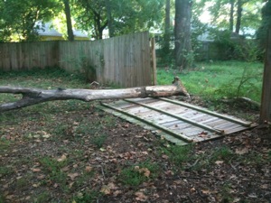 IMG_0756.jpg IMG 0756