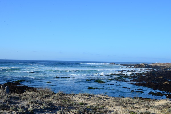 DSC_4257.JPG DSC 4257
