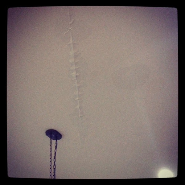 Photo  1